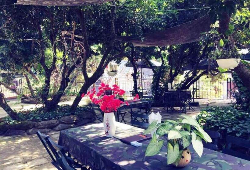 پانسیون Nhà Nghỉ Tâm Cường