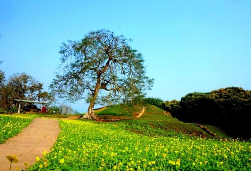 پانسیون Nhà Nghỉ Tâm Cường