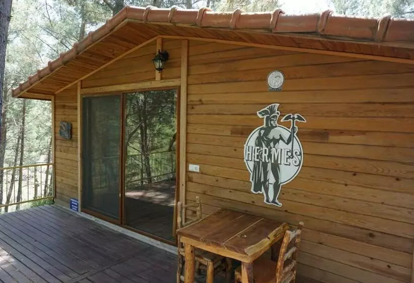 پانسیون Olympos Tanrılar Kulubu