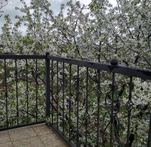 ペンション Oselya Guest House