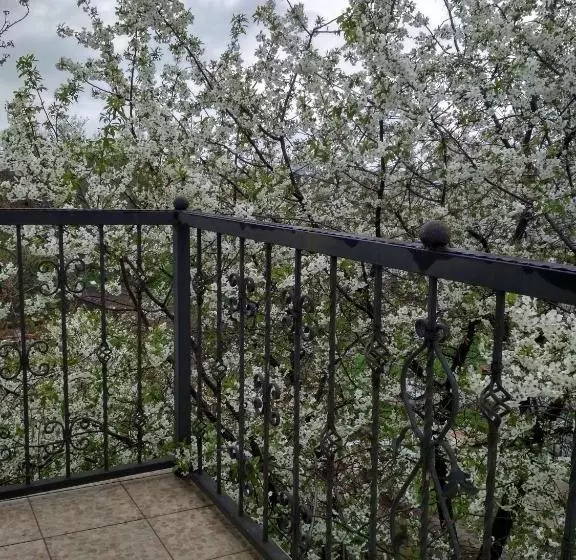 ペンション Oselya Guest House