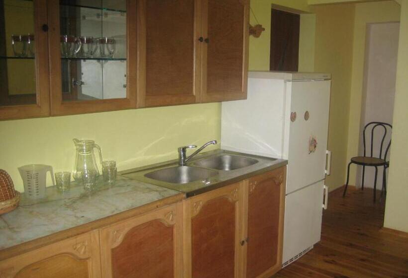 ペンション Oselya Guest House