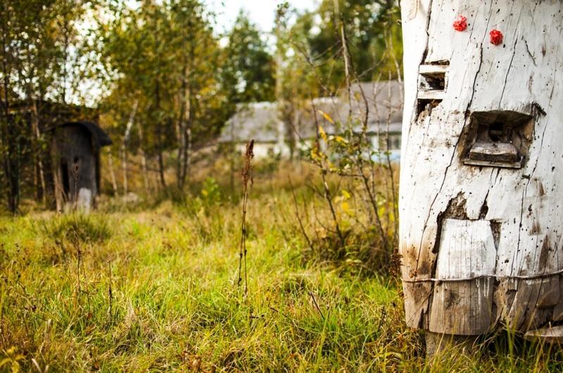 Общежитие дальний кордон