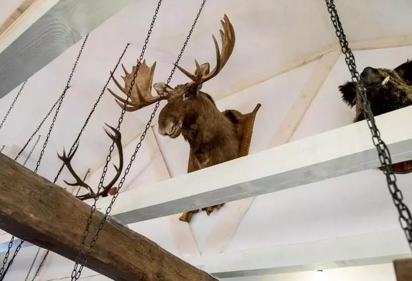 ユースホステル дальний кордон