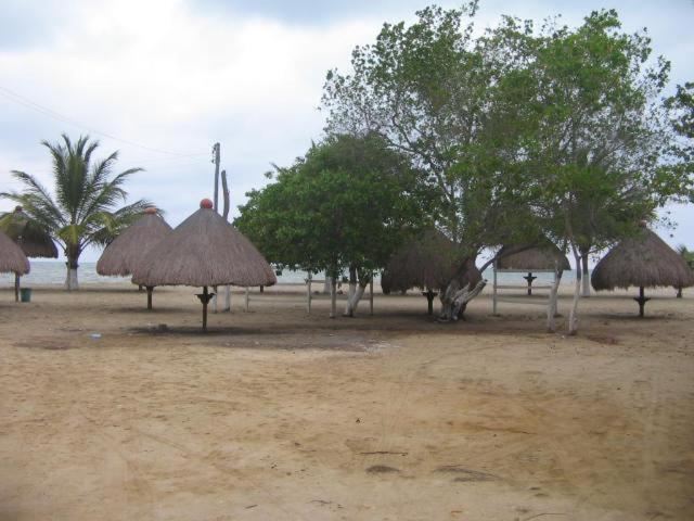 هاستل Hostal Roldan