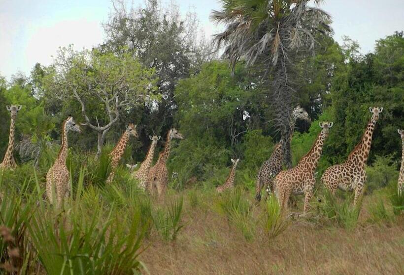 Barry S Beach Resort