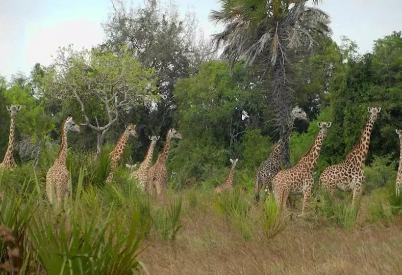 Barry S Beach Resort