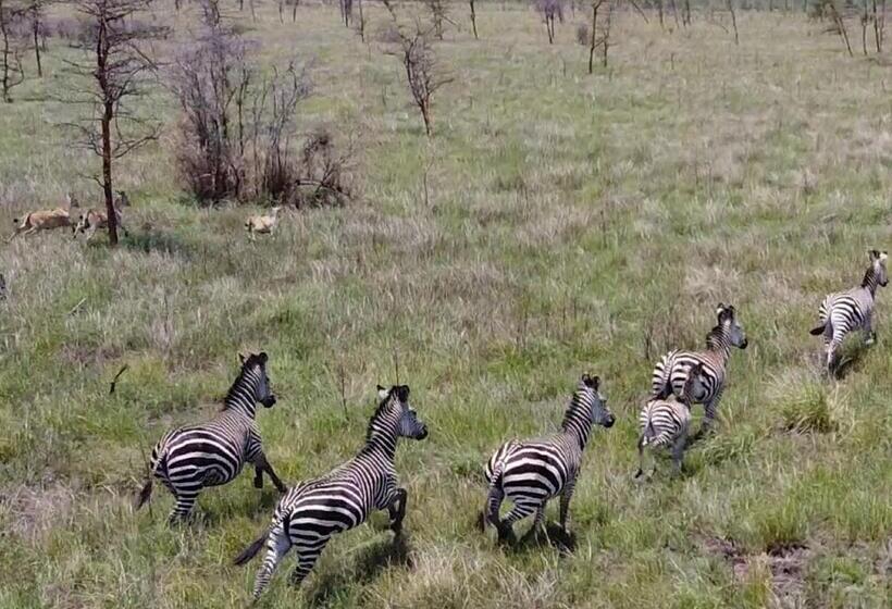 Barry S Beach Resort