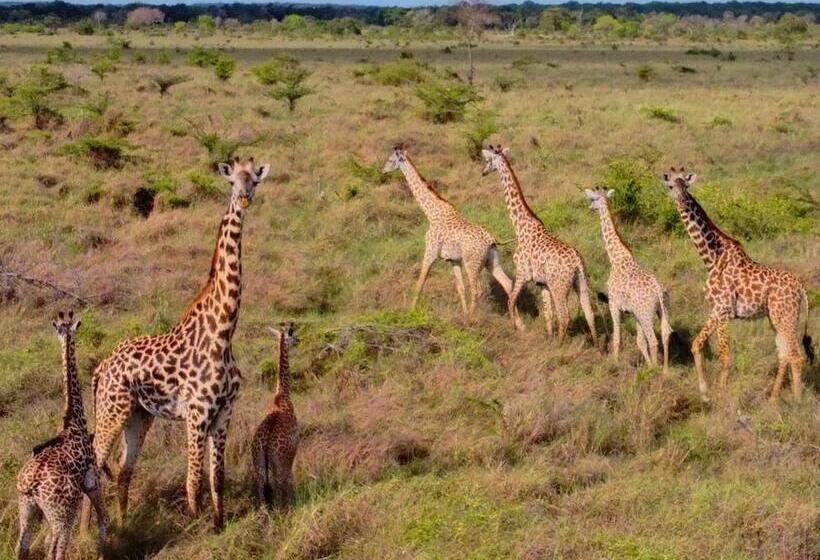 Barry S Beach Resort