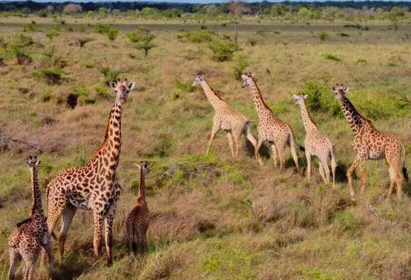 Barry S Beach Resort