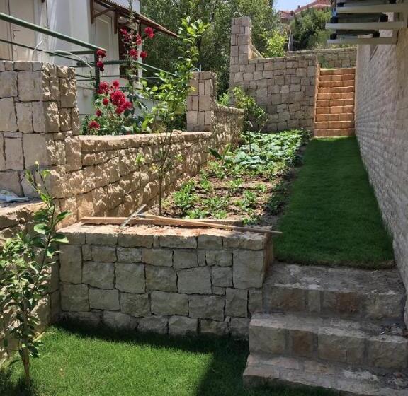 Clementin Suits Sigacık