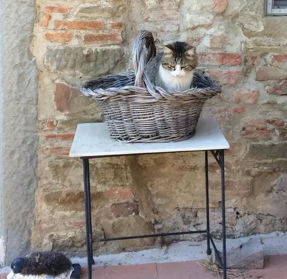 ホテル Agriturismo Corzano