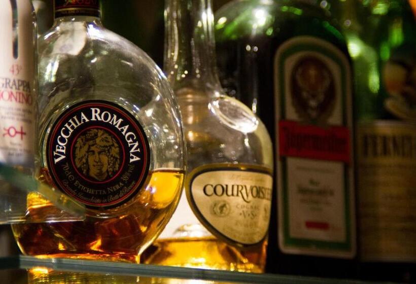 酒店 Albergo Lario