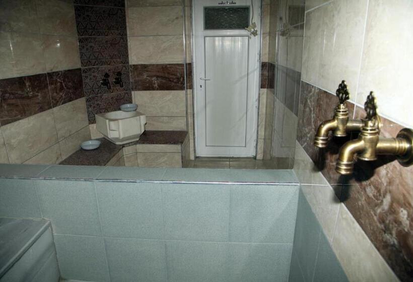 Mekan Ilica Apart Otel