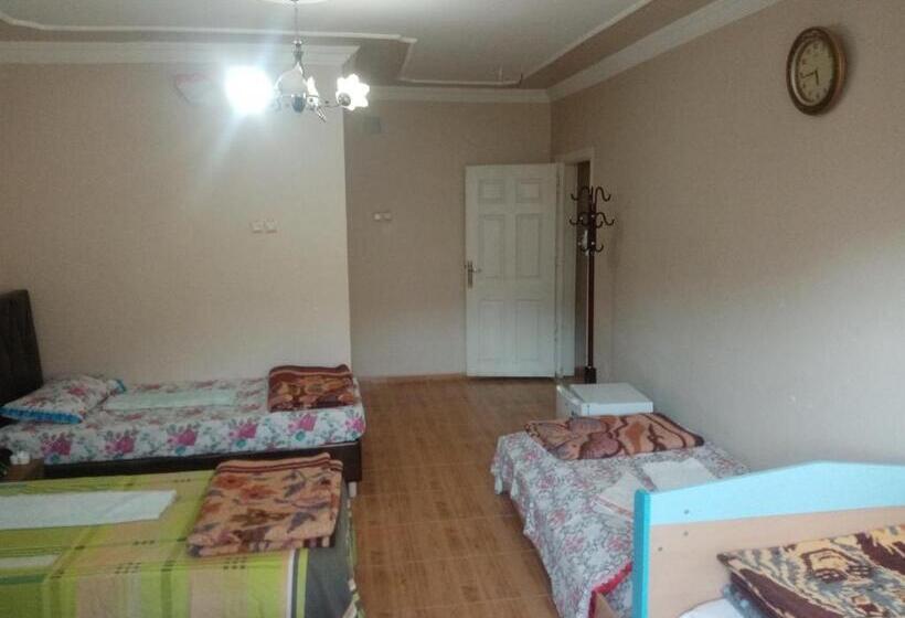 汽车旅馆  Nemrut Dağı Işik Pansi̇on