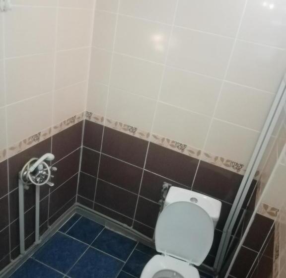 汽车旅馆  Nemrut Dağı Işik Pansi̇on