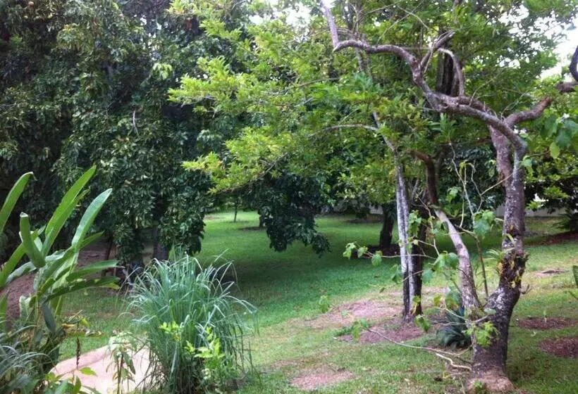 Majatalo Bed & Breakfast Chiang Rai