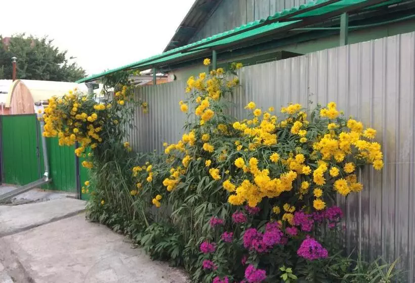 ペンション Dos Guesthouse