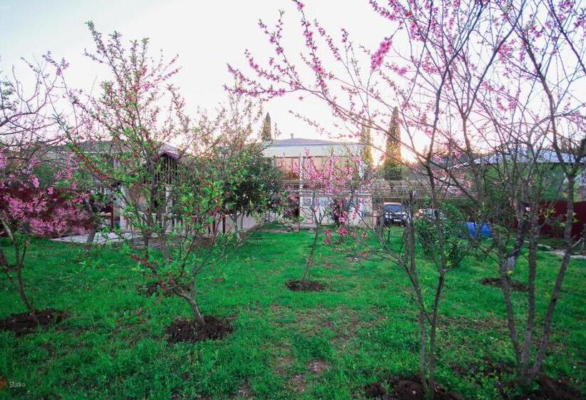 پانسیون Green Garden Guest House