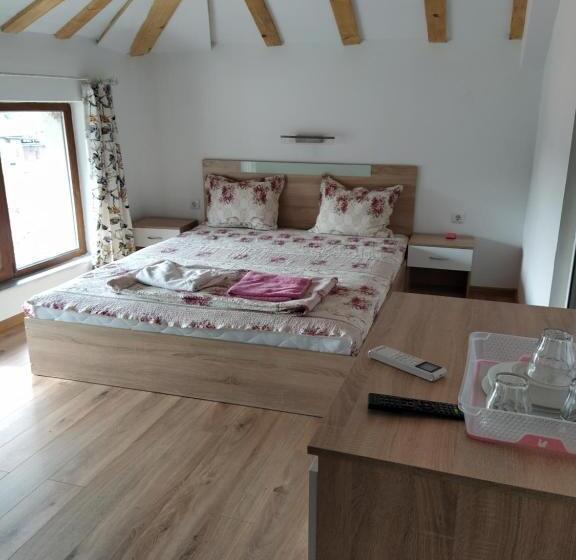 פנסיון Guest House Proynovi