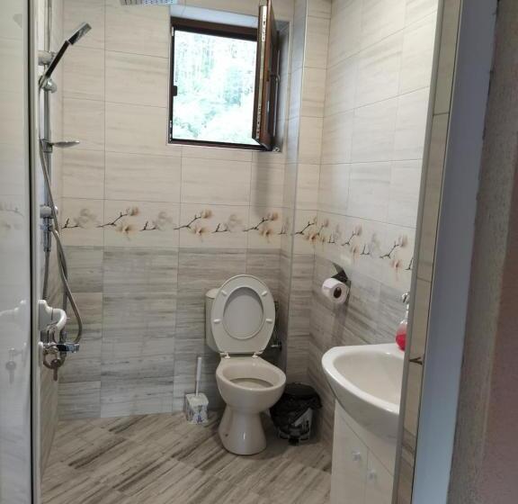 פנסיון Guest House Proynovi