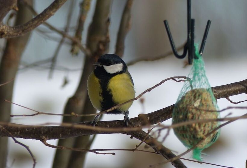 פנסיון Le Gite Du Velay