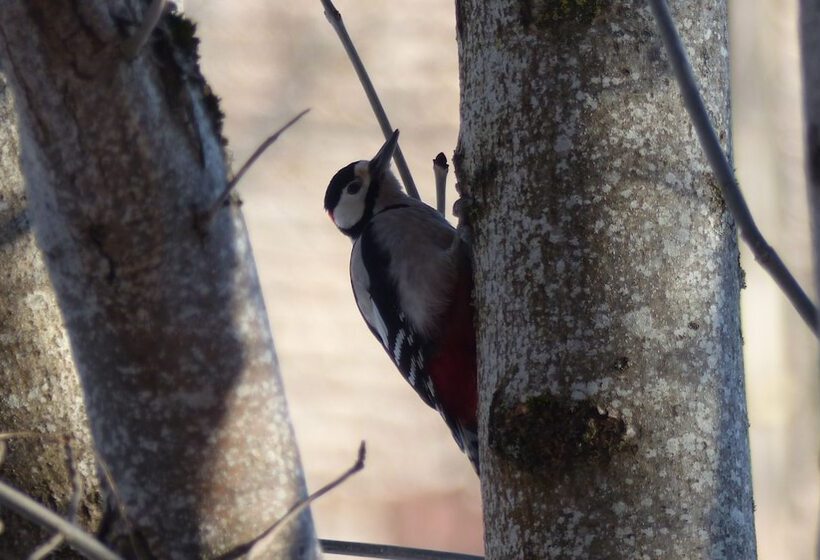 פנסיון Le Gite Du Velay