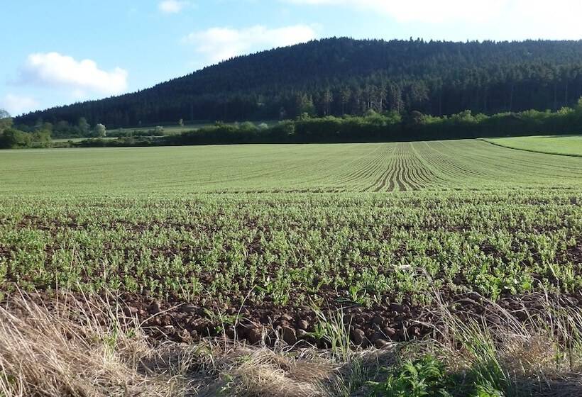 פנסיון Le Gite Du Velay