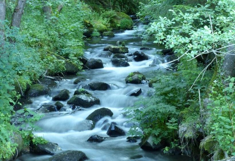 פנסיון Le Gite Du Velay