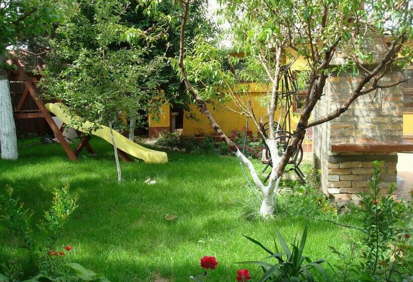 Pensiunea Casa Soarelui