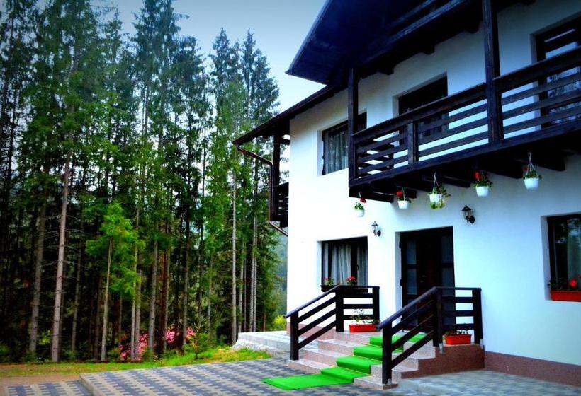 Pensiunea Vatra Bucovinei