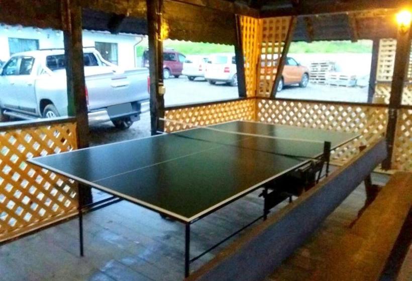 Pensiunea Vatra Bucovinei