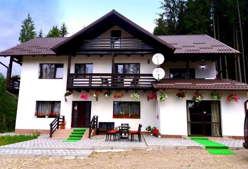 Pensiunea Vatra Bucovinei