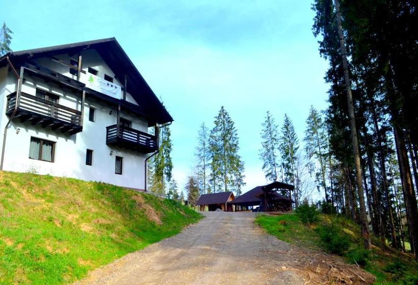 Pensiunea Vatra Bucovinei