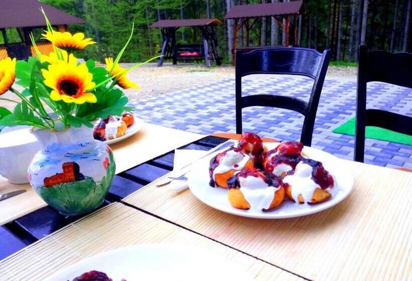 Pensiunea Vatra Bucovinei