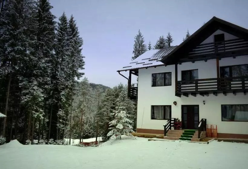 Pensiunea Vatra Bucovinei