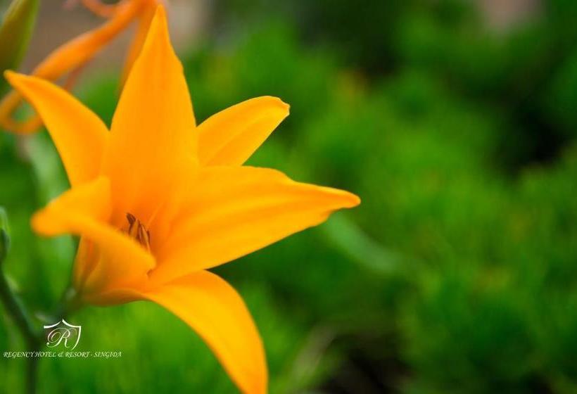 Regency Resort Singida