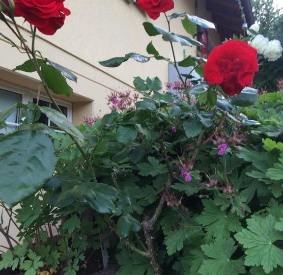 Bed & Breakfast Mona S Sleep & Go