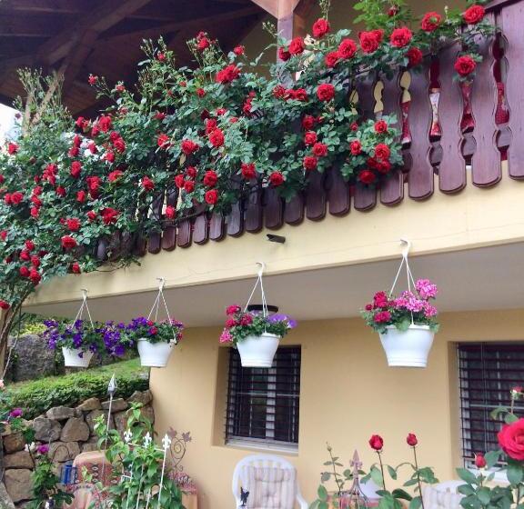 Bed & Breakfast Mona S Sleep & Go