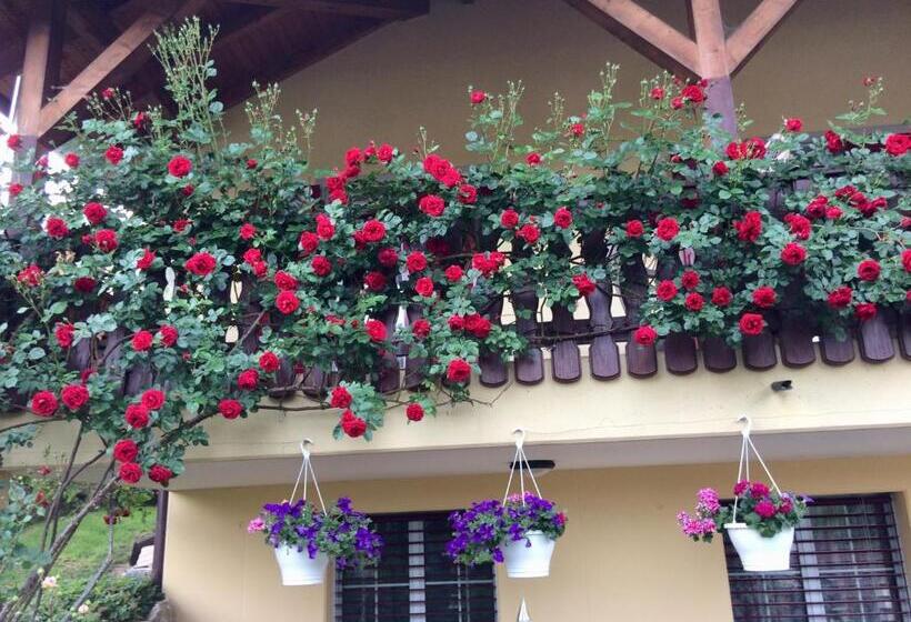 Bed & Breakfast Mona S Sleep & Go