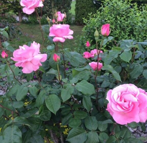 Bed & Breakfast Mona S Sleep & Go