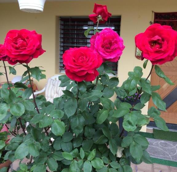 ベッドアンドブレックファースト Mona S Sleep & Go