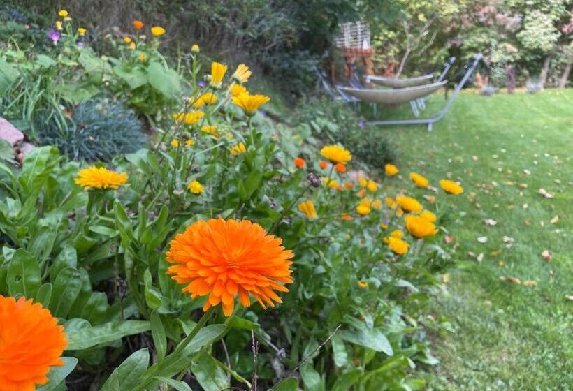 住宿加早餐  Villa Viridis Bükkalja