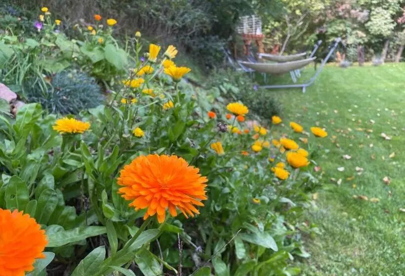 Aamiaismajoitus (B&B) Villa Viridis Bükkalja