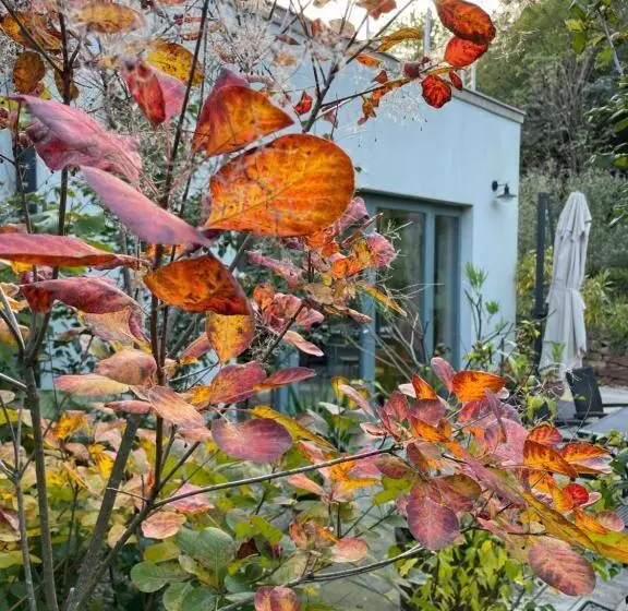 Aamiaismajoitus (B&B) Villa Viridis Bükkalja