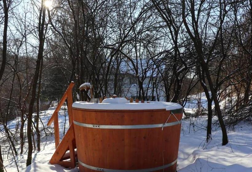 住宿加早餐  Villa Viridis Bükkalja