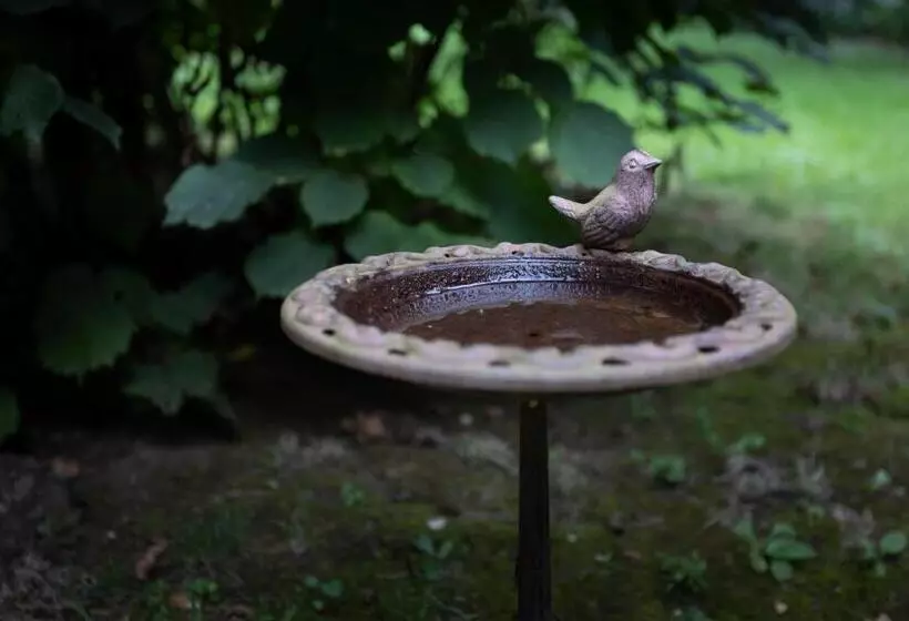 Aamiaismajoitus (B&B) Villa Viridis Bükkalja