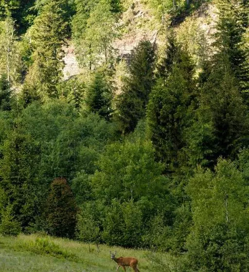 Hotelli медовий двір