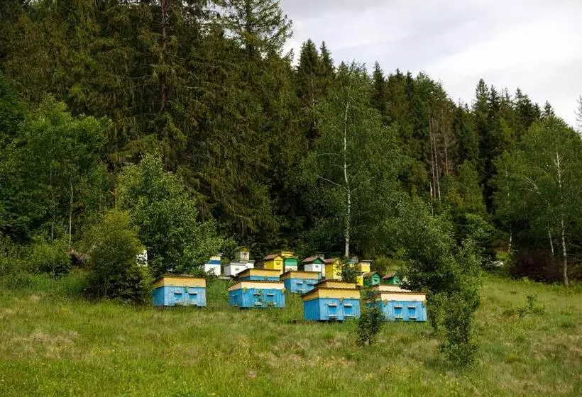 Hotelli медовий двір