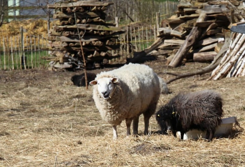 Отель Antik Hof Bissee